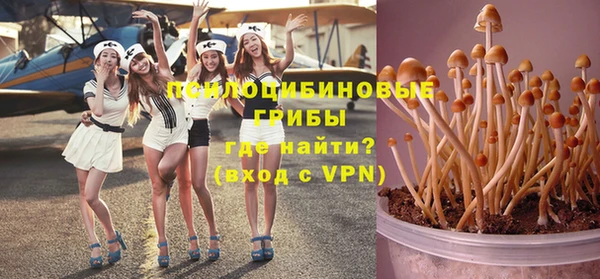 молекула духа Абинск