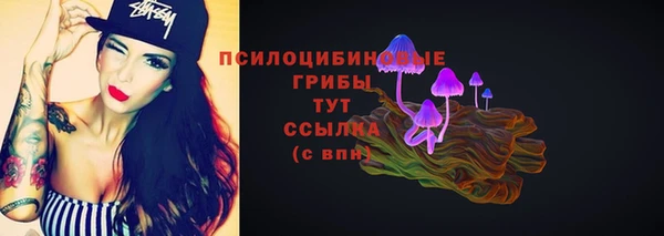 молекула духа Абинск