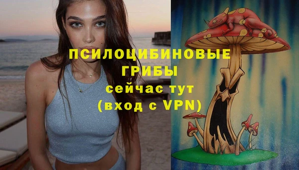 молекула духа Абинск