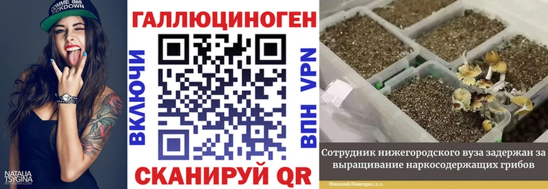 Псилоцибиновые грибы Cubensis  Альметьевск 